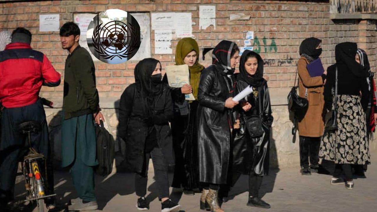 Taliban authorities direct female aid workers to stop work on refugee project