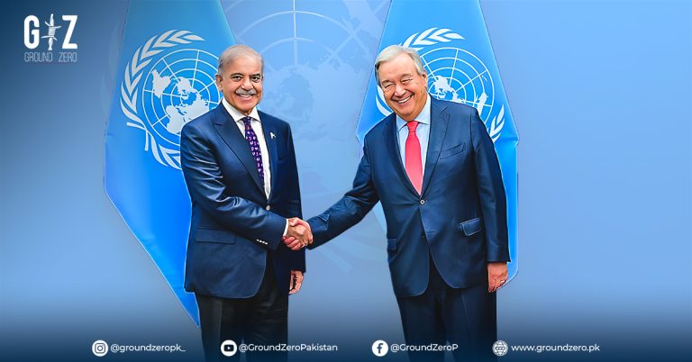 PM Shehbaz urges UN to act on Kashmir and Palestine to ensure global stability.