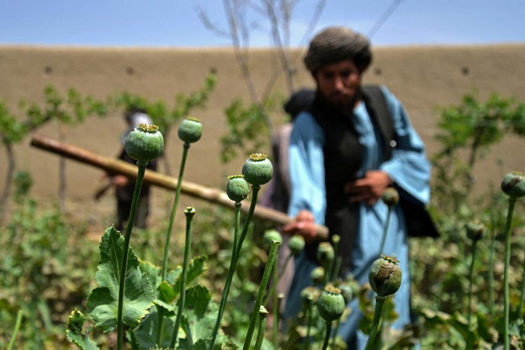 Taliban Afghanistan: The Global Narco-State Exporting Chaos to Pakistan and Beyond